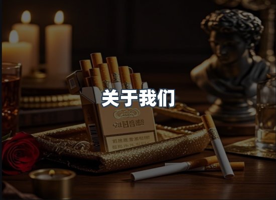 关于我们